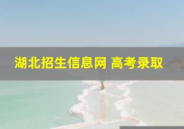 湖北招生信息网 高考录取